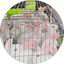 人生就是博·(中国区)官方网站