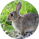 人生就是博·(中国区)官方网站