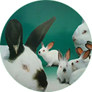 人生就是博·(中国区)官方网站