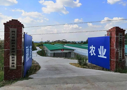 四川种兔养殖公司哪家好？？？